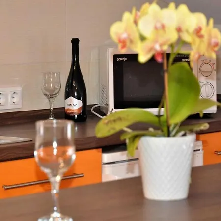 Belicka - Two Bedroom With Shared Terrace - A2 * Poreč